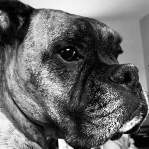 Meet your Posher, Holly